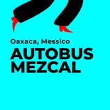 Autobus Mezcal. Oaxaca de Juárez, Messico