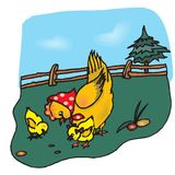 La lección de Pigüi | Cuentos De Pollos