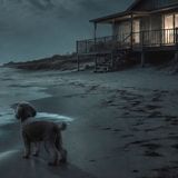 il richiamo del mare - Racconti Hororr