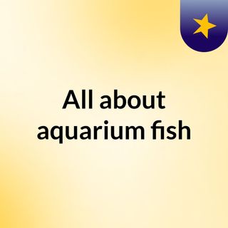 All about aquarium fish