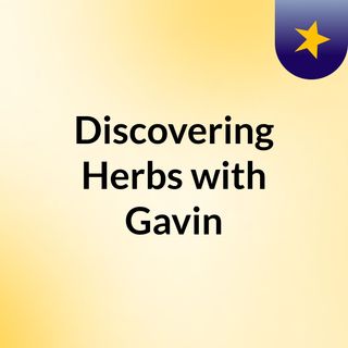 Discovering Herbs with Gavin