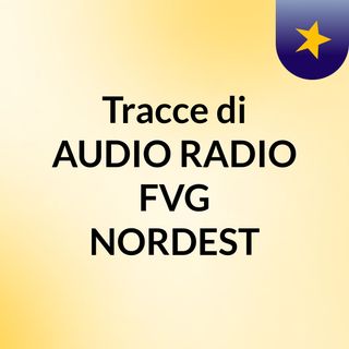 Tracce di AUDIO RADIO FVG NORDEST