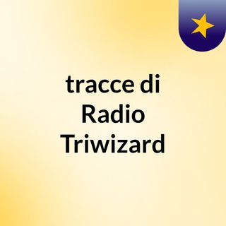 tracce di Radio Triwizard