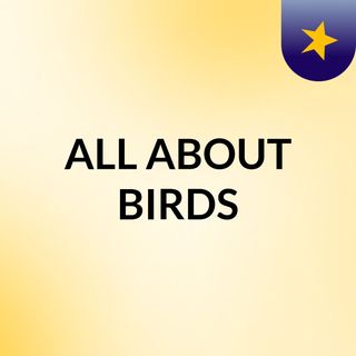 ALL ABOUT BIRDS