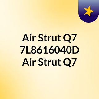 Air Strut Q7 7L8616040D, Air Strut Q7