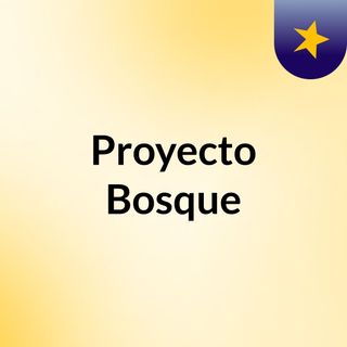 Proyecto Bosque