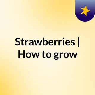 Strawberries | How to grow?