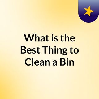 What is the Best Thing to Clean a Bin?
