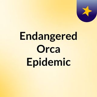 Endangered Orca Epidemic