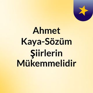 Ahmet Kaya Sozum Siirlerin Mukemmelidir