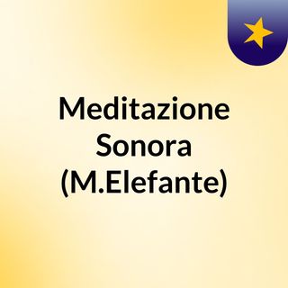 Meditazione Sonora (M.Elefante)