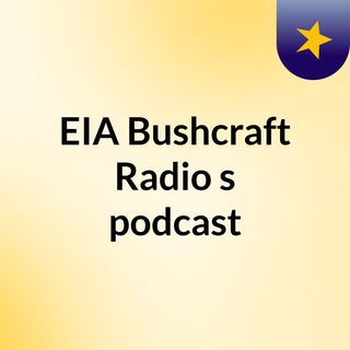 Bushcraft Emergency kit