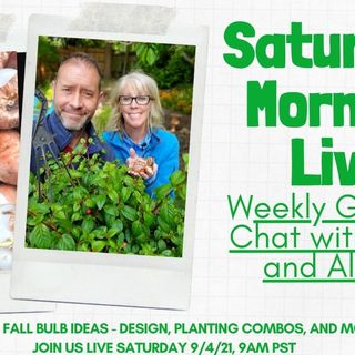 Fall Bulb Ideas, Planning, & Inspo from 9-4-2021 YouTube LIVE