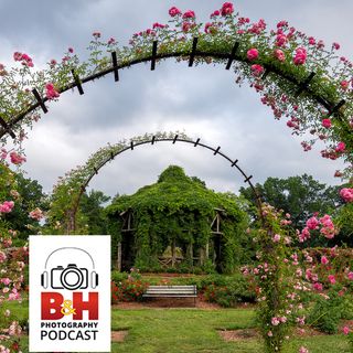 The B&H Photography Podcast/OPTIC Conference Photo Walk