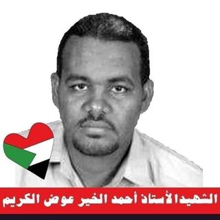 ود قلبها