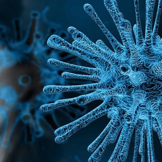 Dov’è il pericolo coronavirus - C&C Group