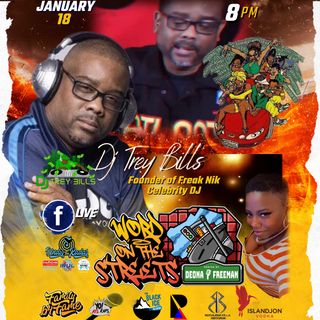 Celebrity Dj and Founder of Freak Nik Dj Trey Bills