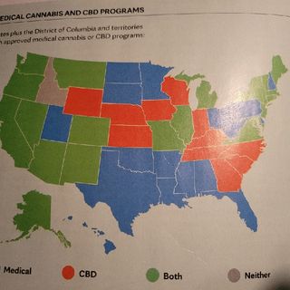 Pt.2 - A plant with a past. The long history of cannabis - Mayo Clinic