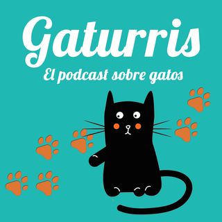 Gaturris: el podcast sobre gatos