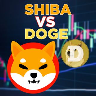 376. Will Shiba Inu Surpass Dogecoin? | SHIB vs DOGE Sentiment Analysis