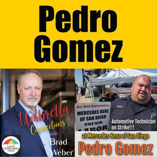 Pedro Gomez on Local Umbrella Connect with Brad Weber Ep 419