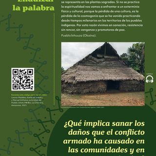 Panel 52 Sanaciones Pueblos Amazonas
