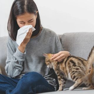 Você tem alergia de cachorro ou gato?