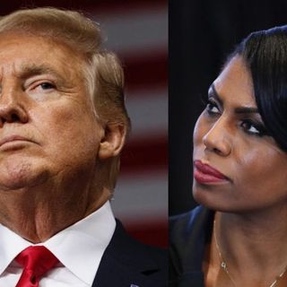 Omarosa, The N Word and the Presidential primary