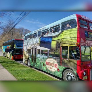 David Hovell - Magic Winery Bus