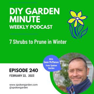 7 Shrubs You Can Prune in Winter - DIY Garden Minute