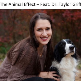 The Animal Effect - Featuring Dr. Taylor Griffin