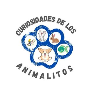 curiosidad de los animalitos