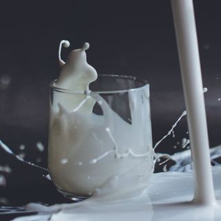 La leche #44