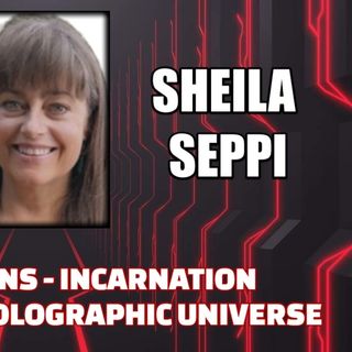 Soul Walk-Ins - Incarnation Agreements - Holographic Universe w/ Sheila Seppi