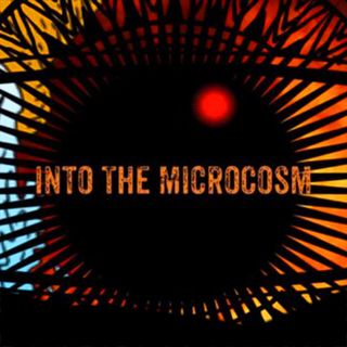 Into the Microcosm