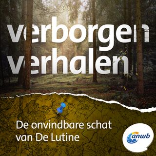 De onvindbare schat van De Lutine