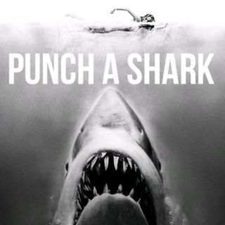 Punch A Shark