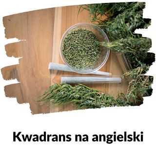 KNA: Lekcja 240 (narkotyki)