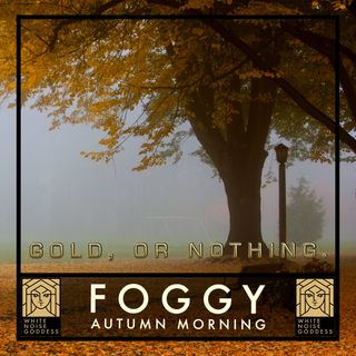Foggy Autumn Morning | White Noise | ASMR & Relaxation