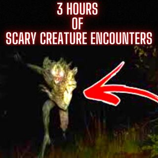 SCARY CREATURE ENCOUNTERS 3 HOURS OF TERROR!