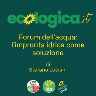 Forum dell’acqua: l’impronta idrica come soluzione - Stefano Luciani