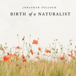 Jonathan Tulloch