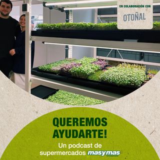 Huertos urbanos, agricultura sostenible en el centro de la ciudad con Tesa Portillo y Javier Espina