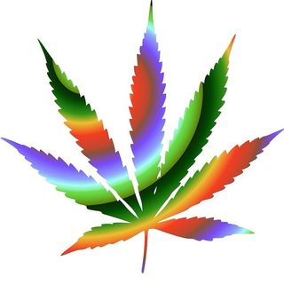 Cannabis y la Marihuana, laotra