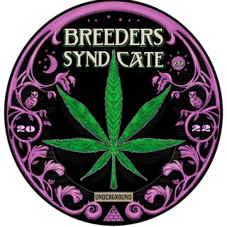 NYPD Pete Young SW Ontario Canada Hemp Nation Legends Seeds Seedbanks Switzerland and More & More S07 E04