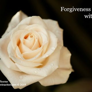 The Power Found In The Art of Forgiveness