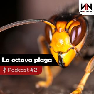La octava plaga - Neweekers Podcast
