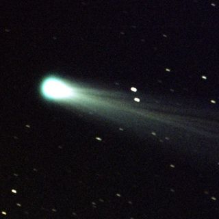 739-Comet Groller(527)