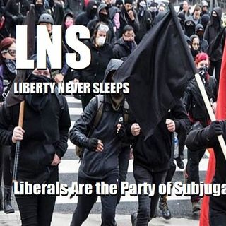 Liberals Are the Party of Subjugation 08/25/20 Vol. 9 #155
