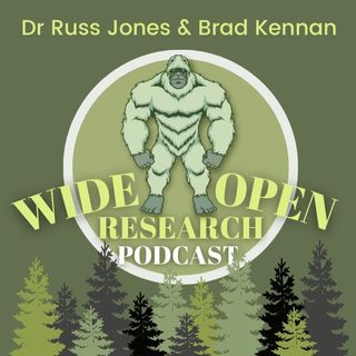 Wide Open Research #27 Chris Garetano - The Real Stranger Things